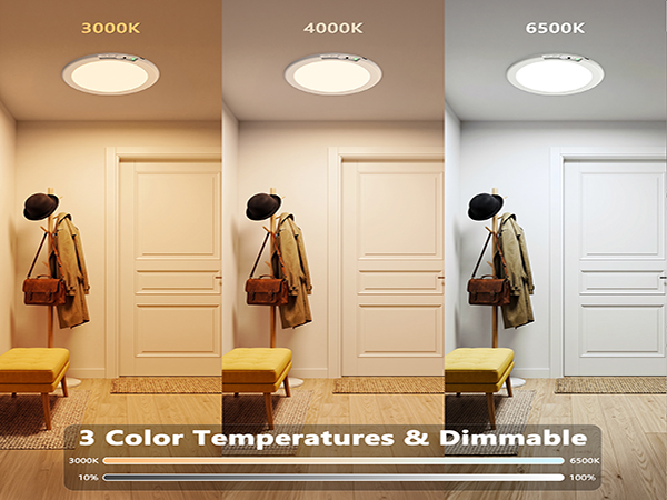 The ceiling light allows you to adjust the color temperature and brightness