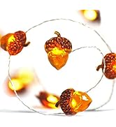 BOHON LED String Lights 40 LEDs Acorn Lights String Battery Powered 10ft Fairy Lights with Remote...