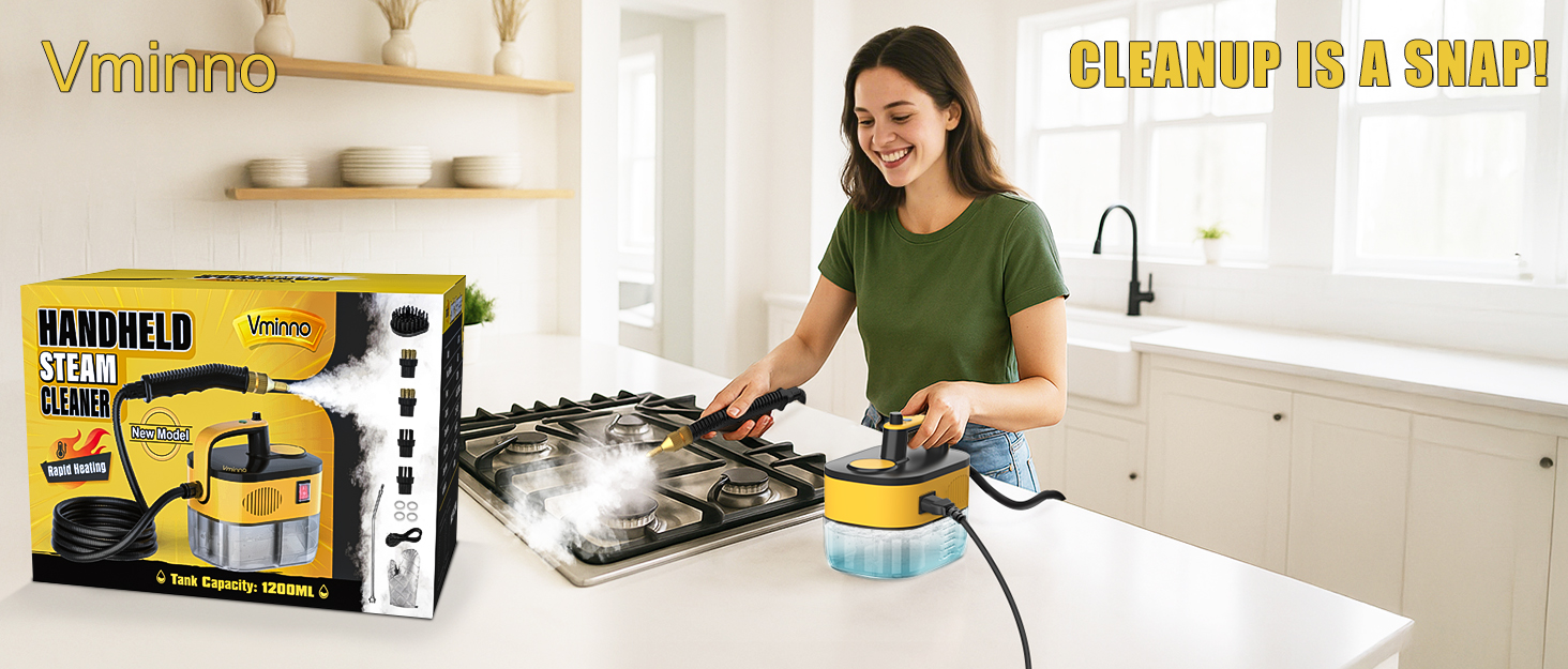 steam cleaner for home