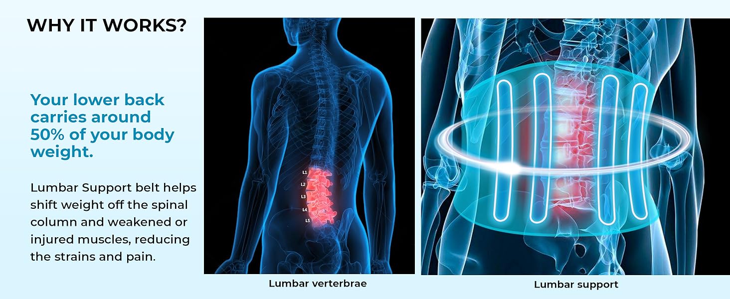 decompresion golds sway right side helix her summit symphisis pioneer lumber beactive ?????