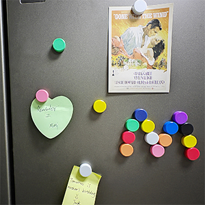 magnet for fridge