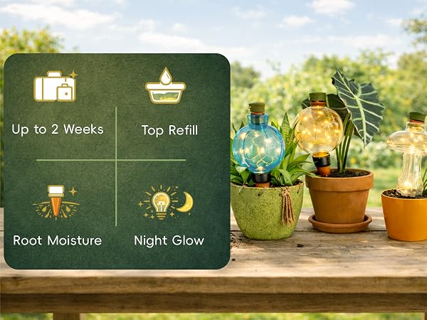 self watering globes