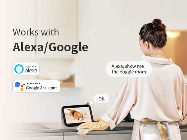 Support Alexa Google-p