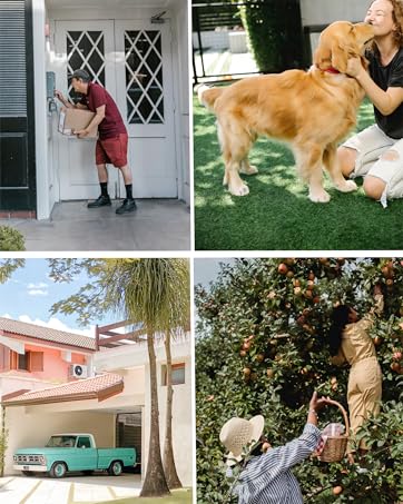 collage of photos of a woman and her dog.