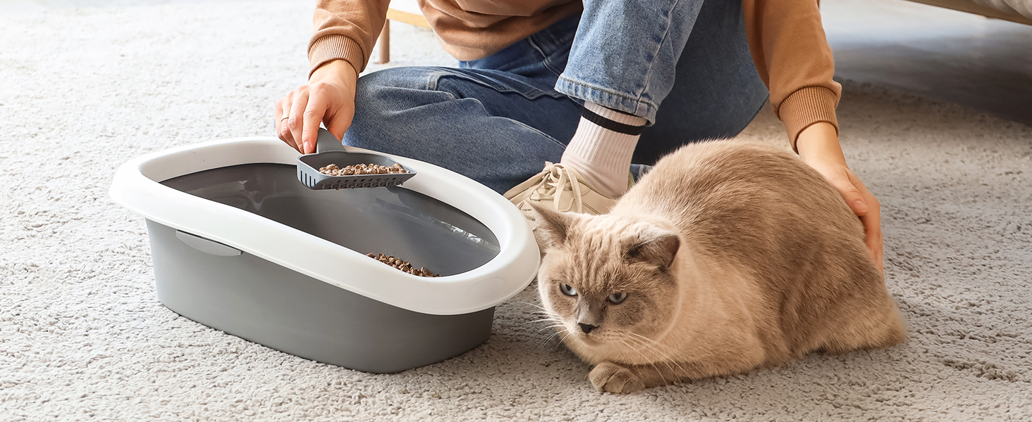 air purifiers for home pets