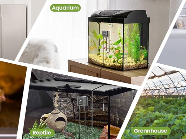 Multiple scene usage