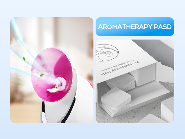 facial steamer