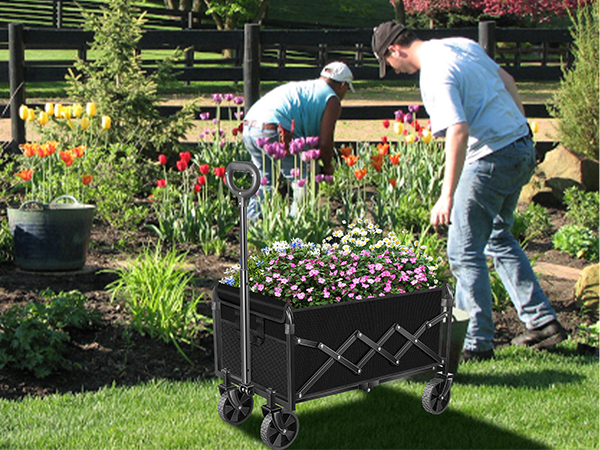 gardening