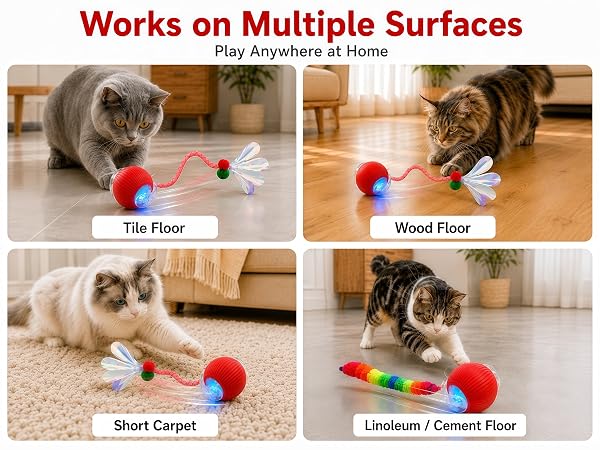 indoor cat toys