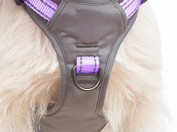 dog harness with handle 