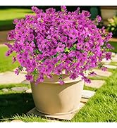 DealBeta 12 Bundles Artificial Flowers for Outdoor Fake Plastic Flowers Faux Plants for Decoratio...