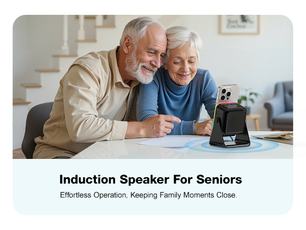 Wireless Induction Speaker