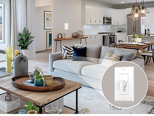 Bathroom fan timer switch