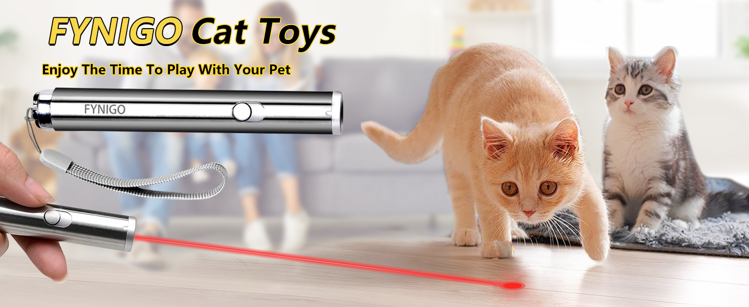 cat toys