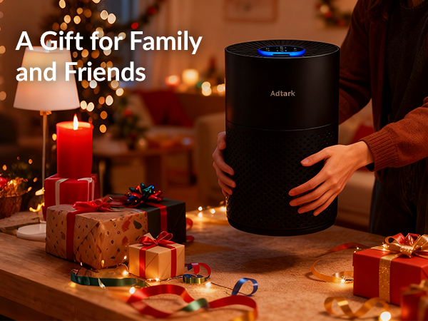 Air purifier for home