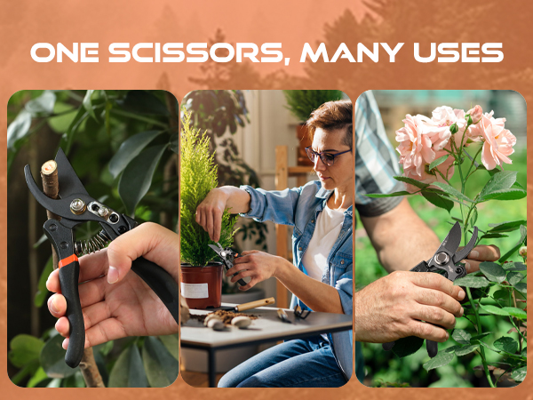 garden shears