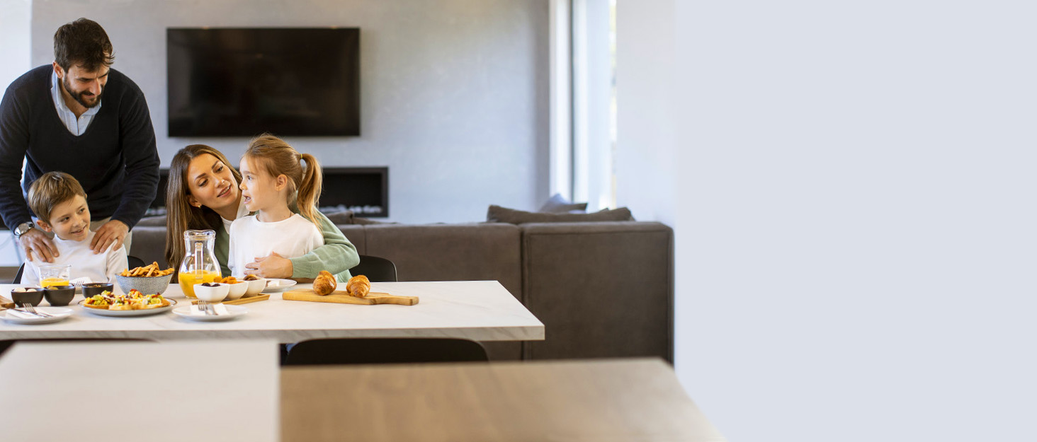 Indoor Electric Countertop