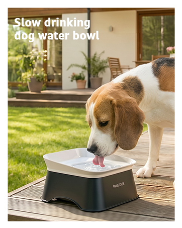 slow water bowl for dogs