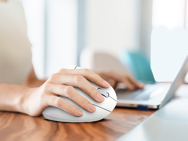 computer mouse