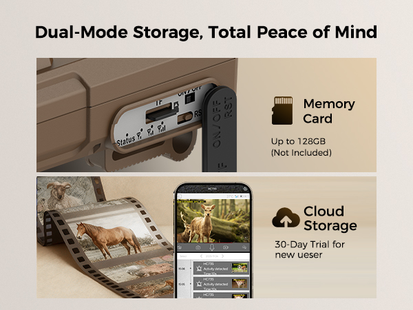 Dual Storage, Share Smoothly