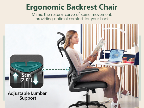 Ergonomic Backrest Chair