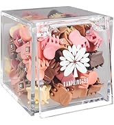 KANPRINCESS 70PCS Mini Claw Clips Small Hair Clips With Fancy Box Classics Claw Clips for Hair Pa...