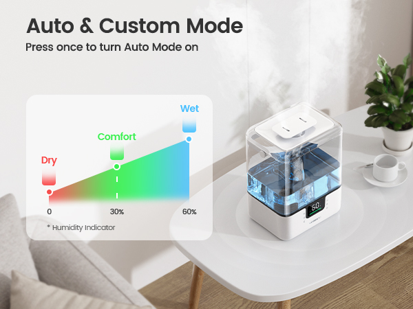 Auto &amp; Custom Mode