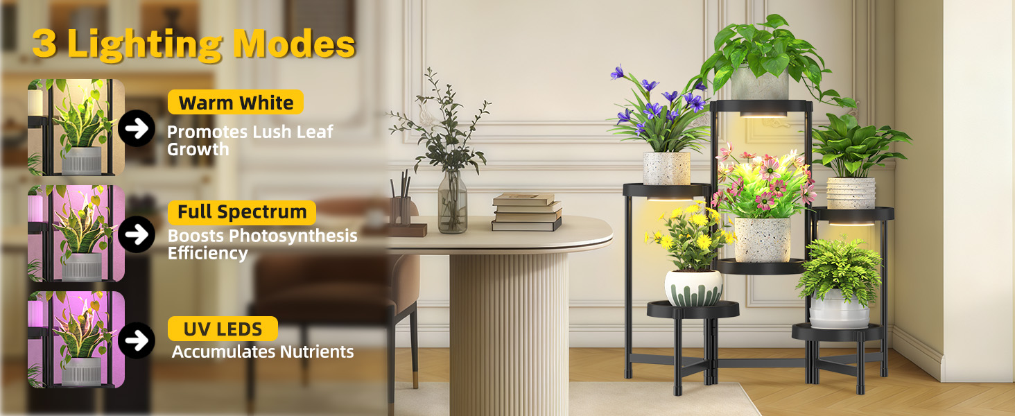 multi tier plant stand indoor