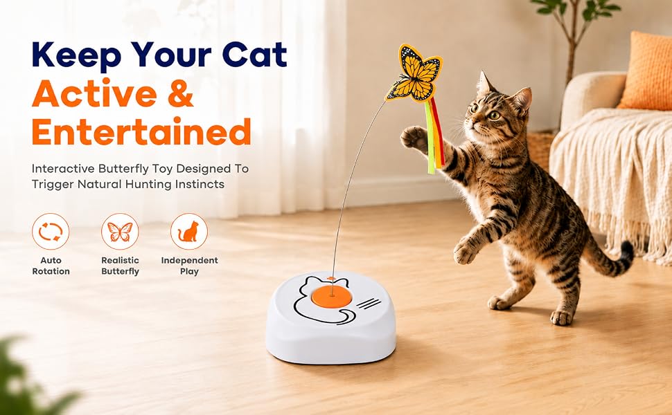Keep your cat active and entertained