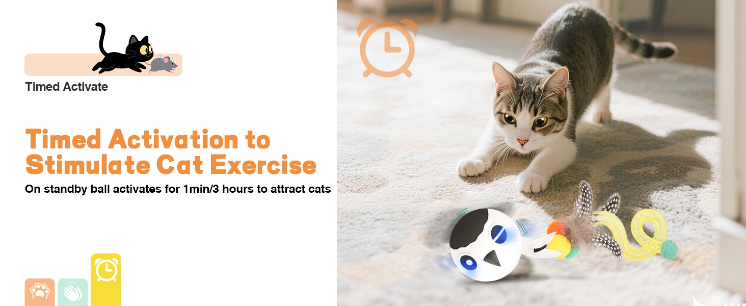 interactive cat toy