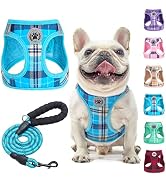 BEAUTYZOO Small Dog Harness and Leash Set,Step in No Chock No Pull Soft Mesh Dog Harnesses Reflec...