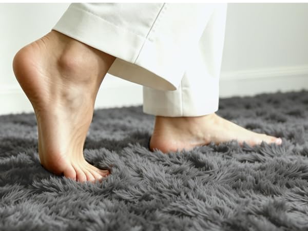 Fluffy Area Rugs for Living Room