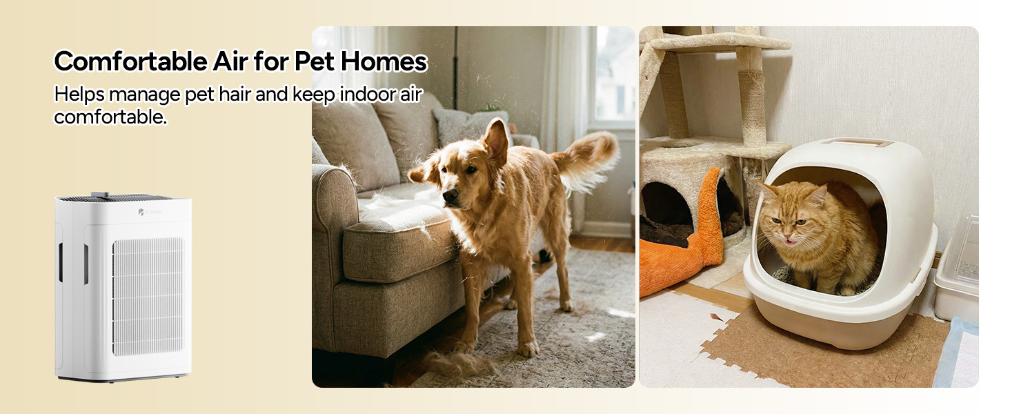 air purifier for pets
