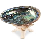 Wish Well Natural Abalone Shell 5.5-6 Inch Large with Wooden Stand - Incense Holder and Sage Smud...