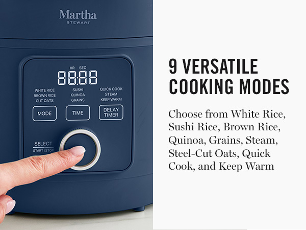 martha stewart, electrics, rice cooker