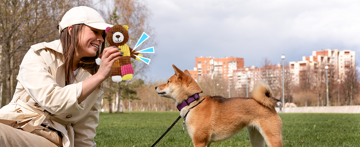 squeaky dog toy