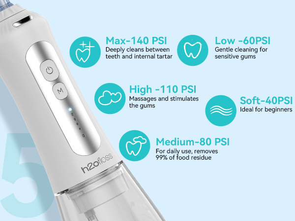 electric toothbrush and water flosser combo