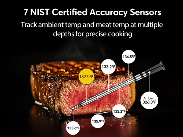 wireless meat thermometer