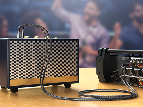 BLUERIGGER rca to rca audio cable male RCA audio interface amplifier easy connect long lasting dual