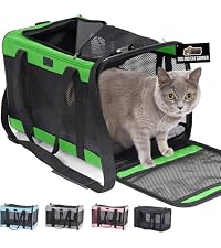 https://m.media-amazon.com/images/I/51BKL0MtrPL.__AC_SR200,225___.jpg