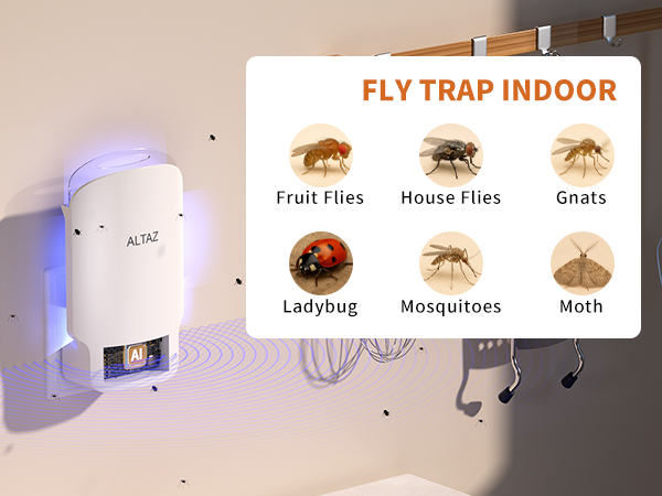 fly traps indoor for home