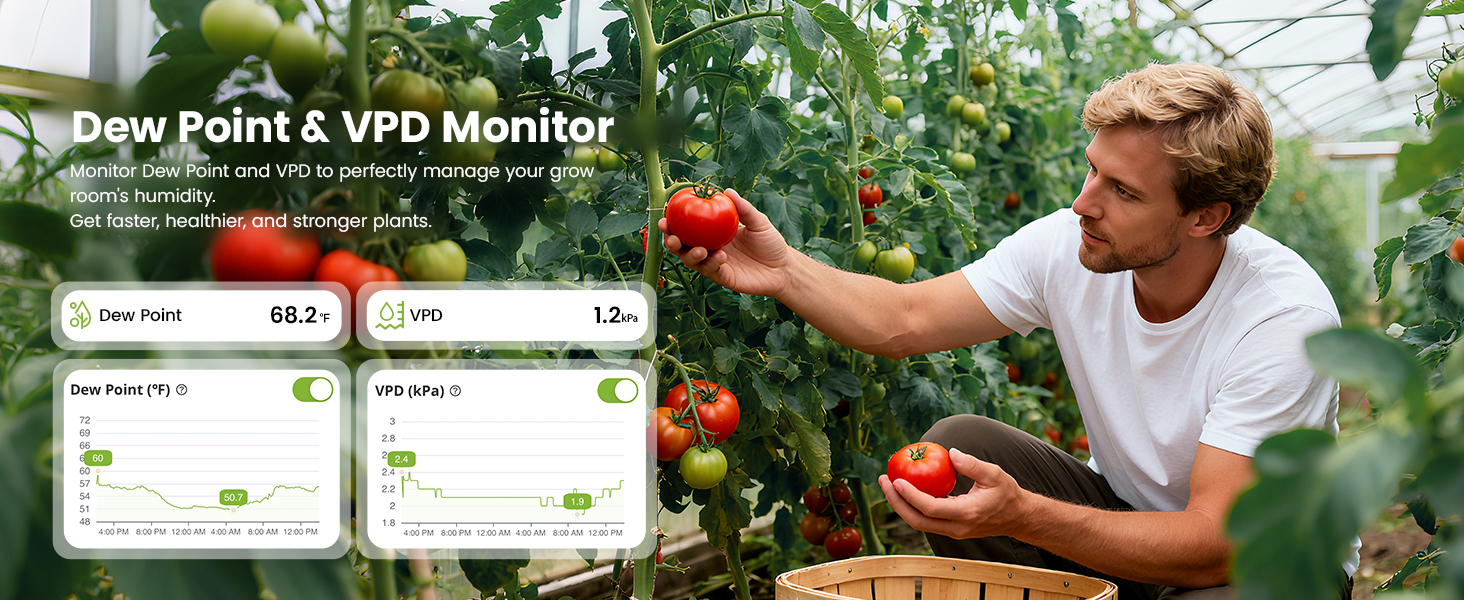 Dew Point&amp;amp;amp;amp;amp; VPD Monitor