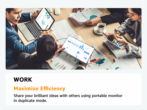 portable monitor