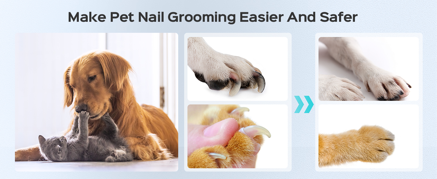 pet toenail drill
