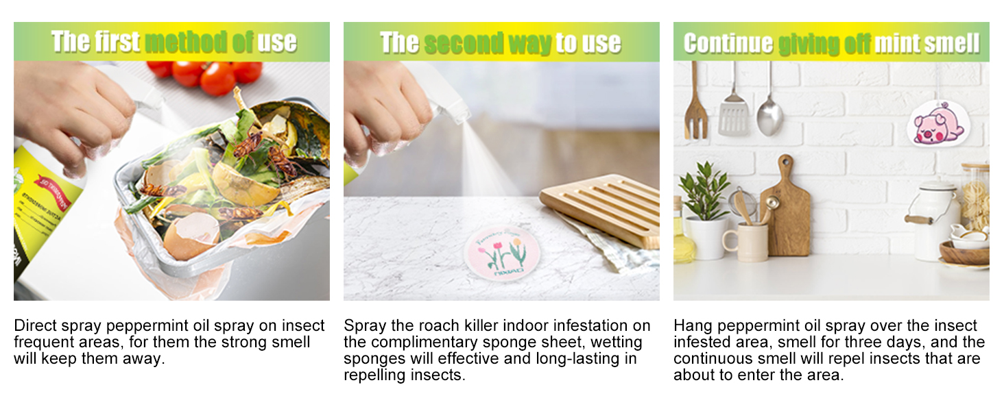 roach spray