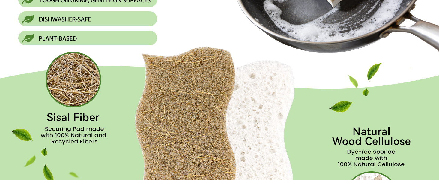 kitchen sponge