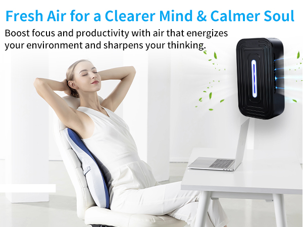 Plug-in Air Cleaner