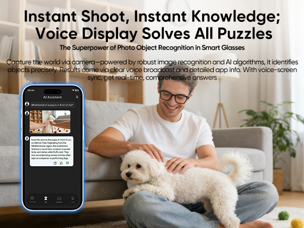 AI Smart Glasses with Camera