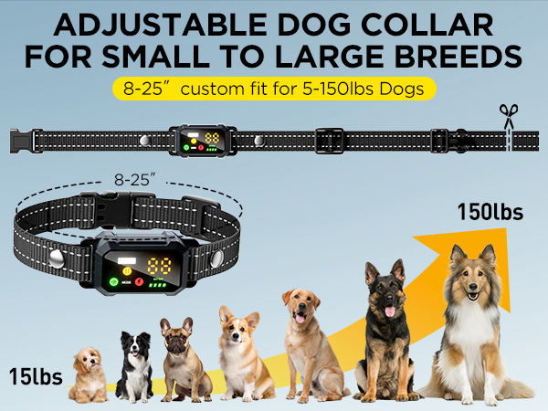 dog shock collar with remote