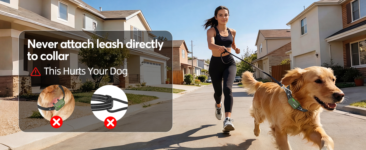 shock collar for small medium large dogs